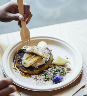 Bagasse Plate Round 9